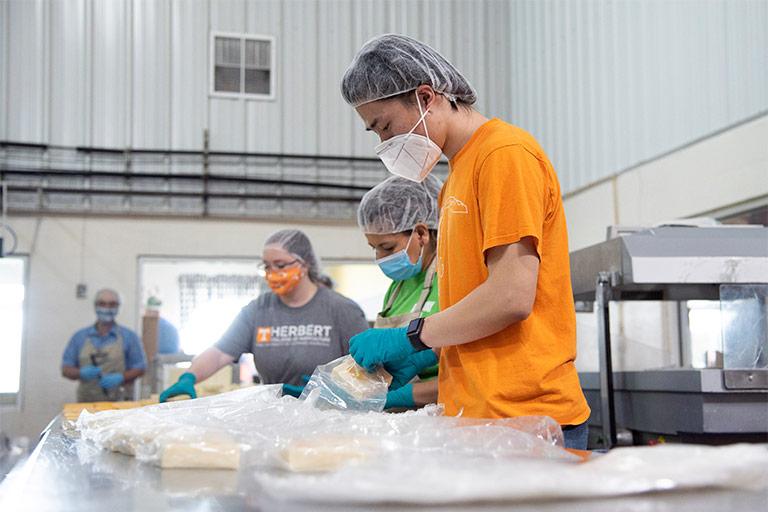 Students working producing cheese